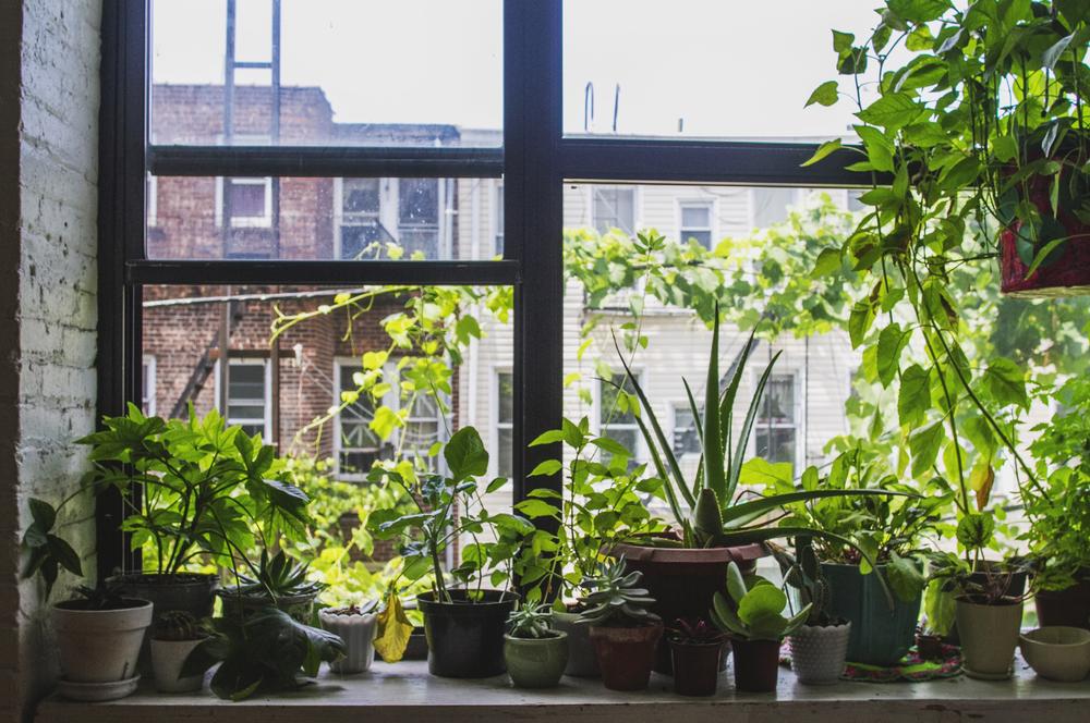 Créer un jardin d&rsquo;hiver moderne : guide complet 2025